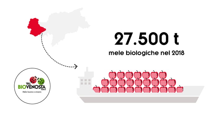 La nostra BIO-logica?