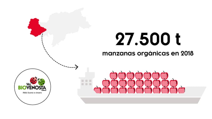 ¿Nuestra lógica BIO?