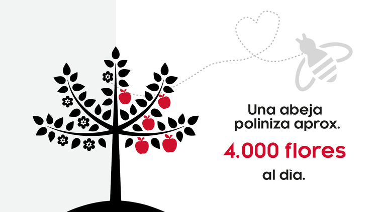 ¿Cuántas flores se convierten en manzanas?