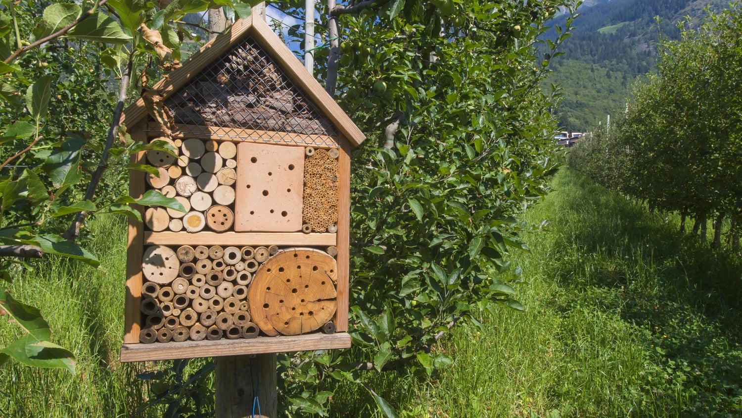 Nesting facilities