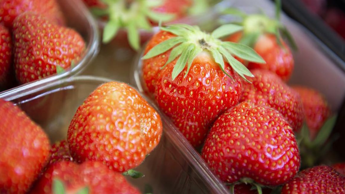 20th South Tyrolean Strawberry Festival