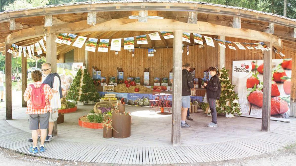 20th South Tyrolean Strawberry Festival