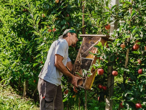 Ecosistema:<br>I più grandi? I più piccoli!
