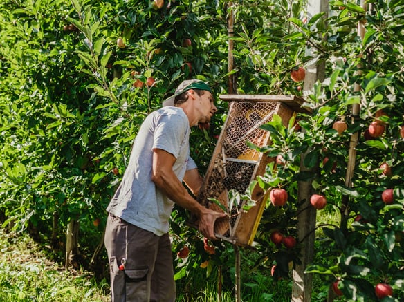 Ecosistema:<br>I più grandi? I più piccoli!