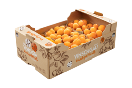 Original Vinschger Marille