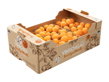 Original Vinschger Marille<br>Karton