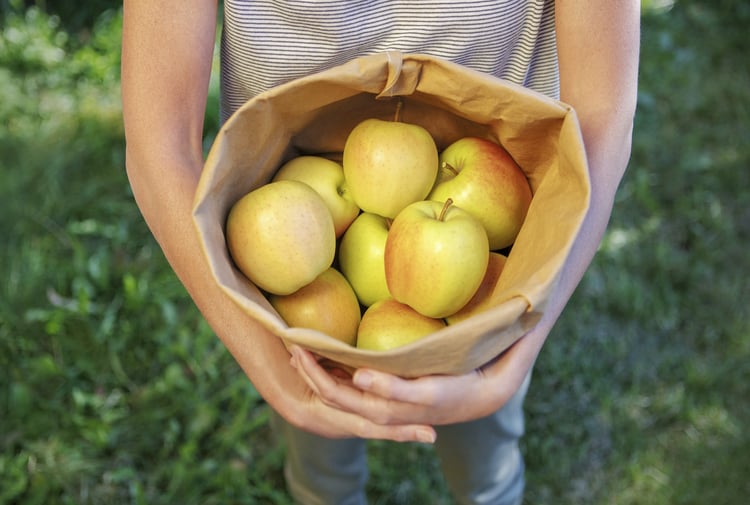 Mele Golden Delicious Val Venosta
