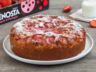 Brunch ad alta quota, tra i meleti della Val Venosta