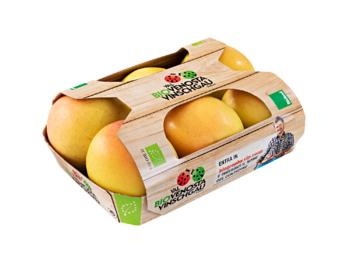 Cardboard fruittainer with top