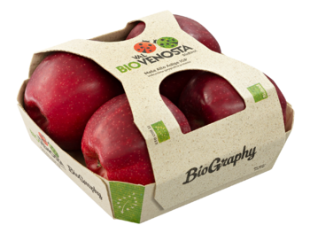 Cardboard fruittainer with top