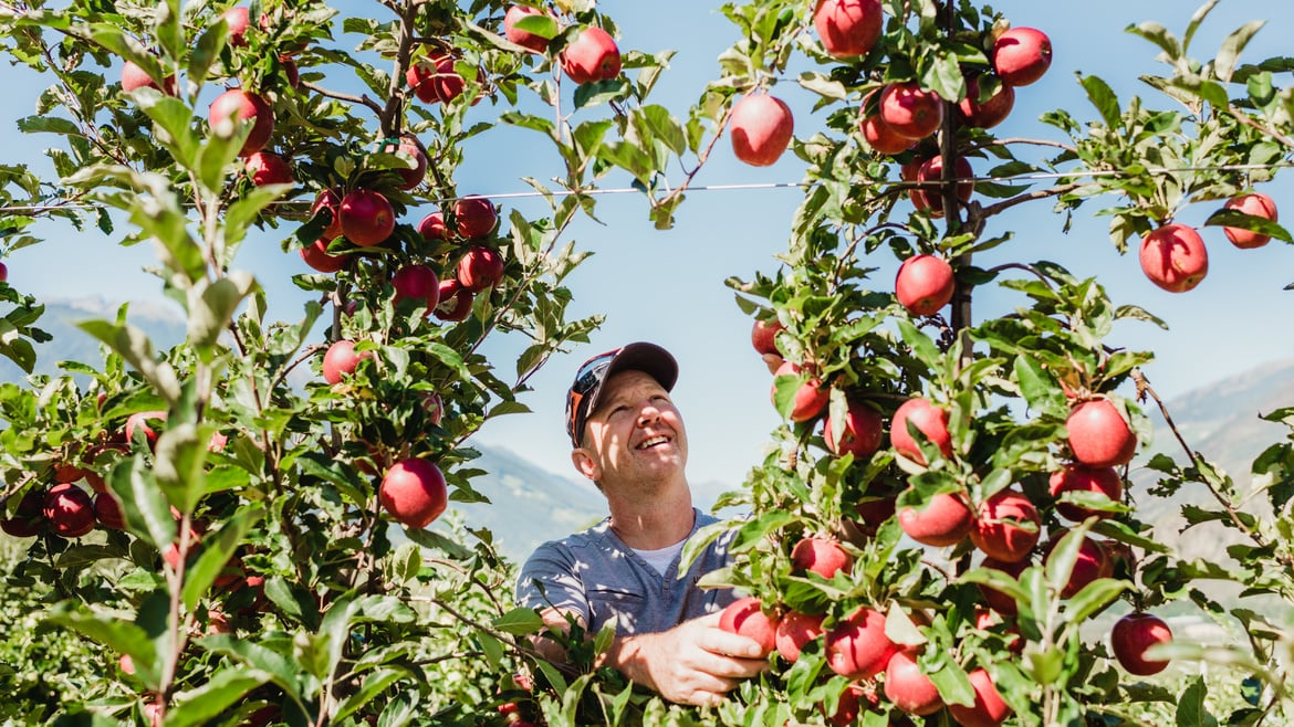 Bio apples Alto Adige