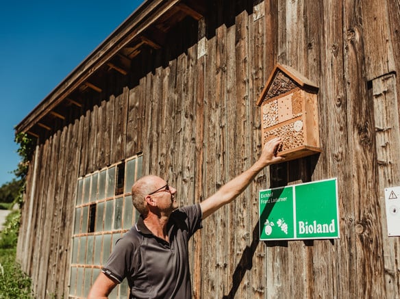 Organic leader: We are on the right path.