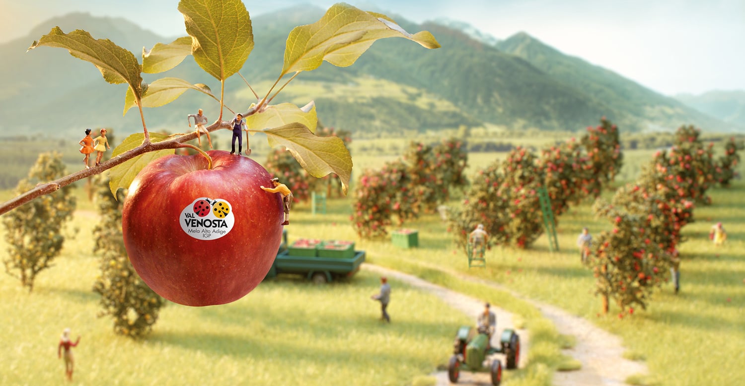 Benvenuti<br>nel Paradiso delle Mele