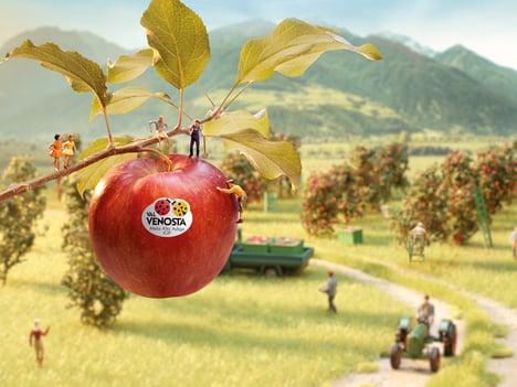 Benvenuti nel Paradiso delle Mele