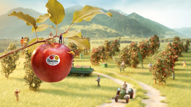 Das Paradies ist unsere Heimat