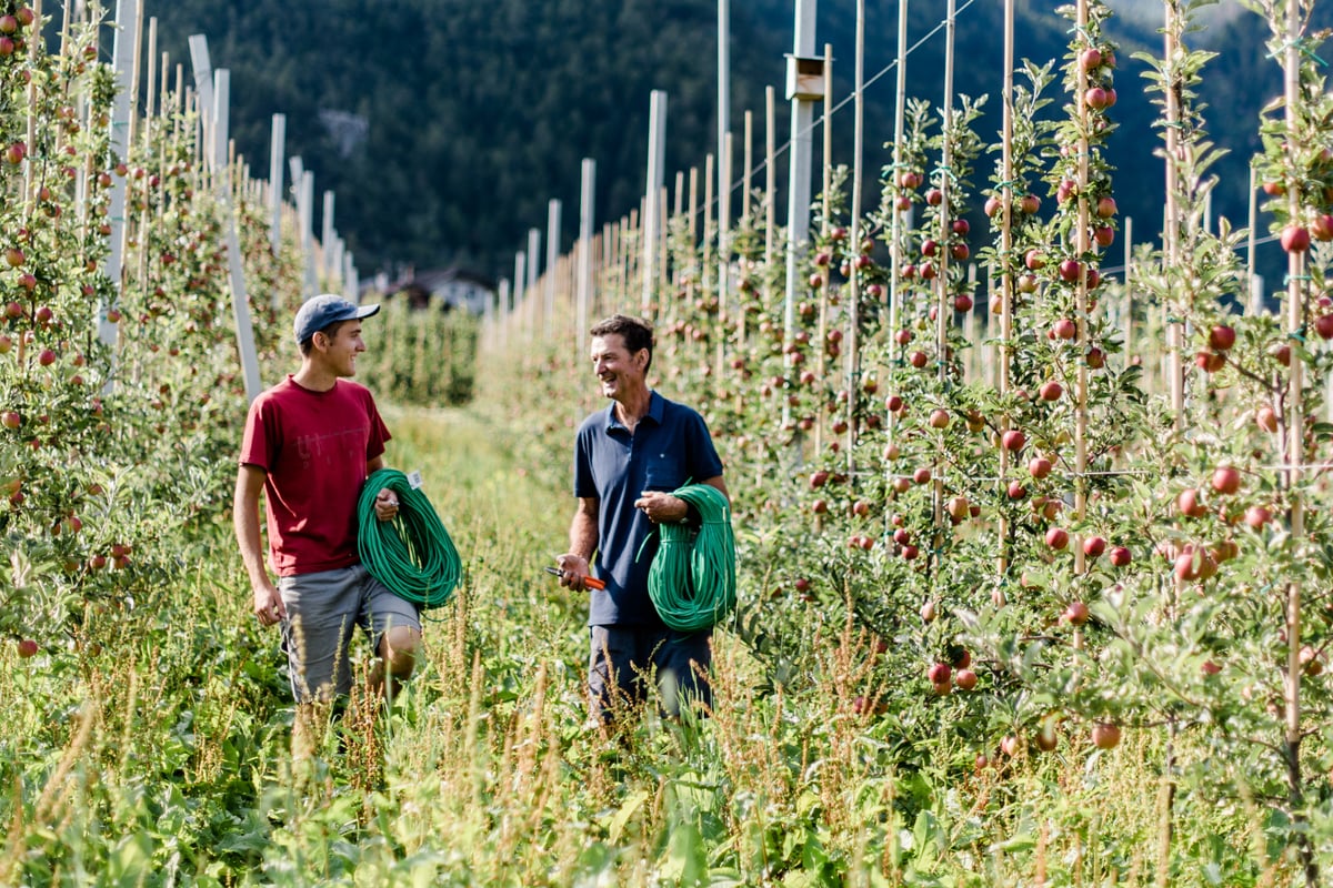 Bei uns im Vinschgau...