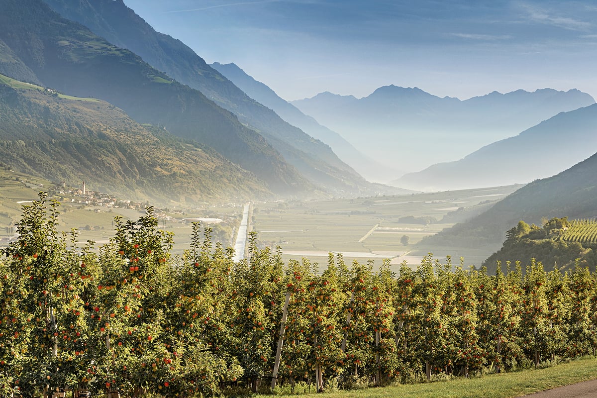 Bei uns im Vinschgau...