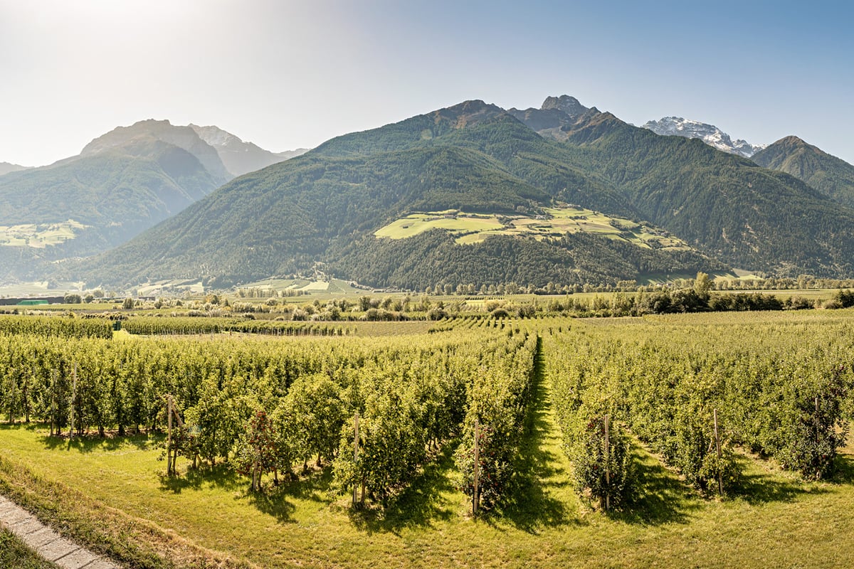 Bei uns im Vinschgau...