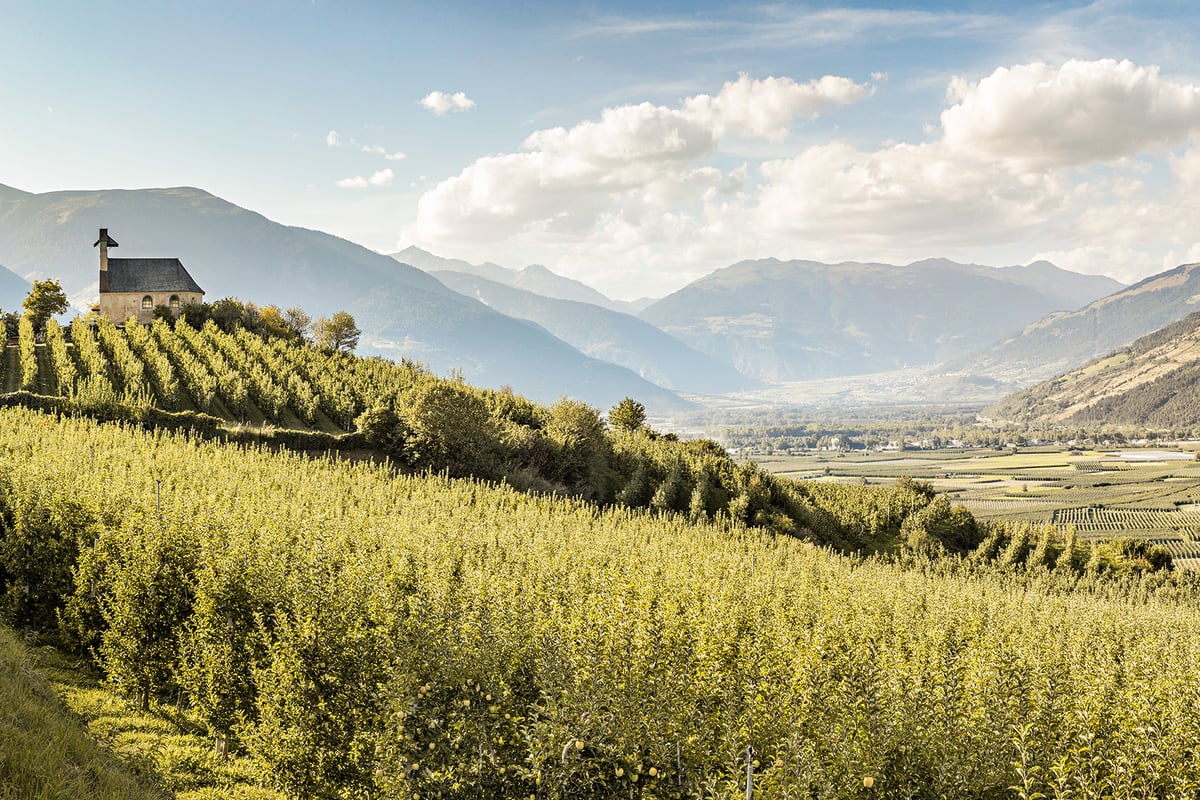 Here in Val Venosta...