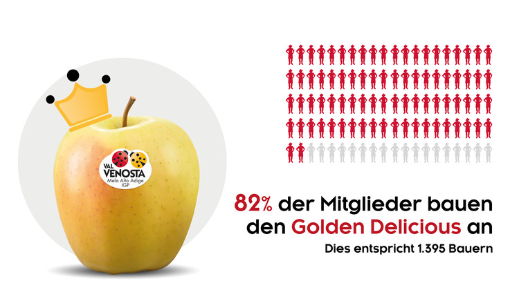 Verliebt in den Golden