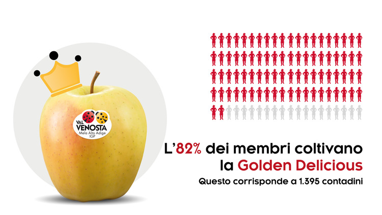 Innamorati della Golden