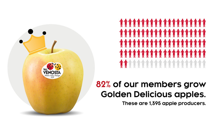 In love with Golden Delicious