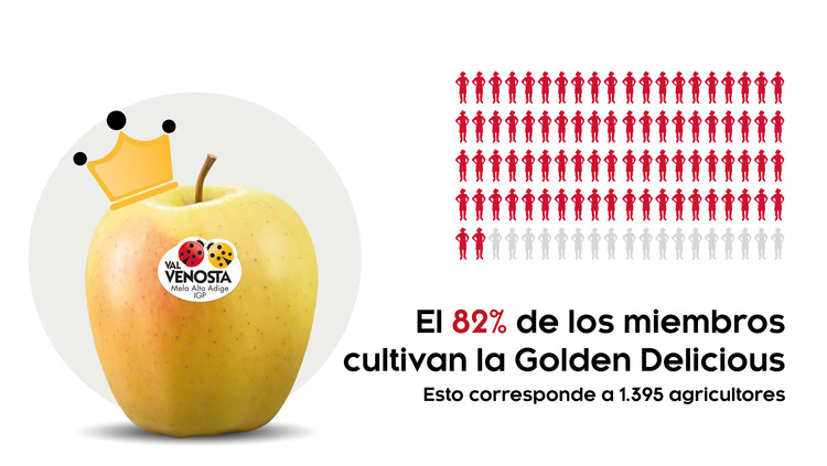 Enamorados de la Golden