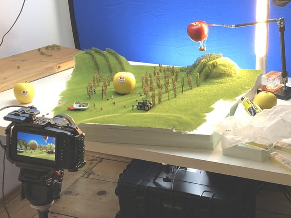 Behind the scenes… there is the Paradise!