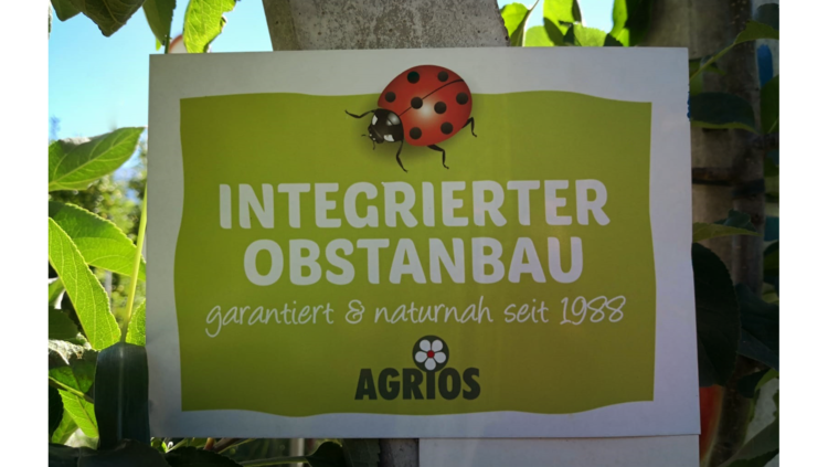 1988