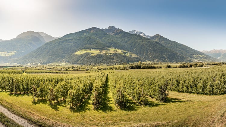 Il vento della Val Venosta