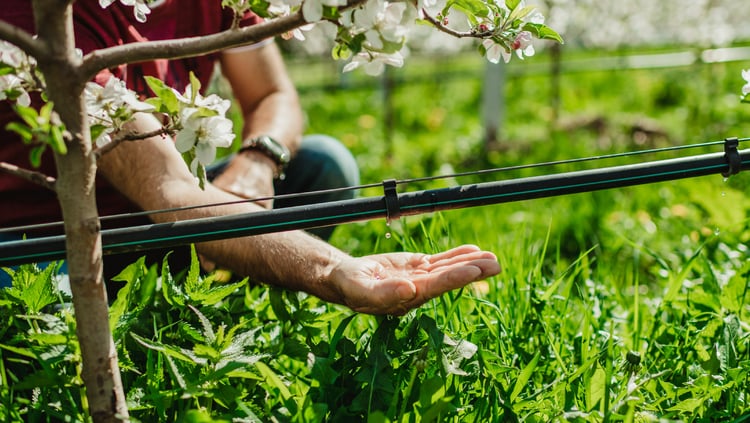 Irrigation is also sustainable