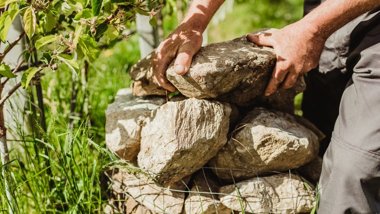 Provvedimenti ecologici