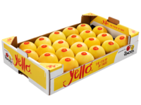 Padella cartone 30x50x10