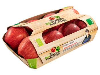 Cardboard fruittainer with top