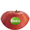 Bonita