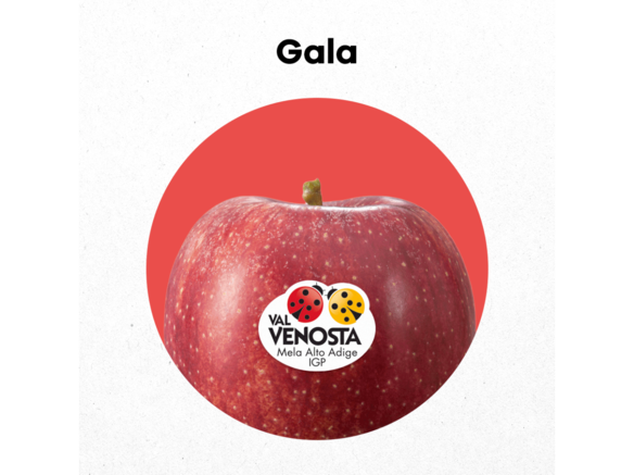 Do you want to find the perfect apple?
