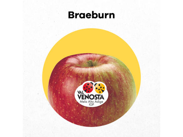 Do you want to find the perfect apple?