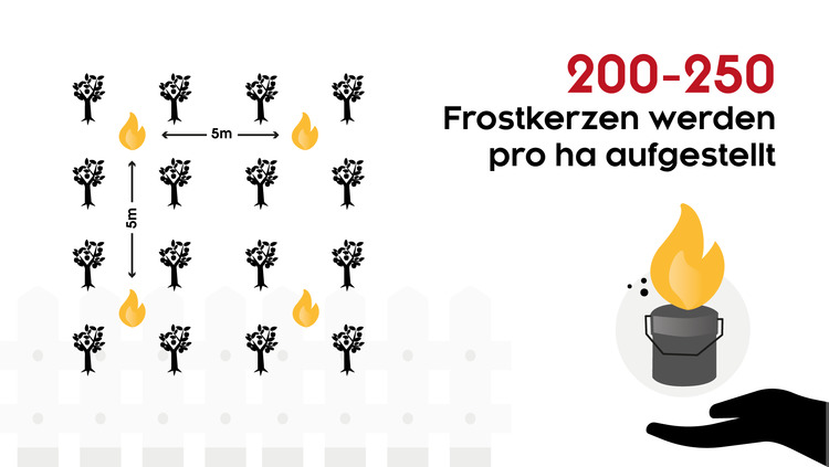 Funktionieren Frostkerzen wirklich?