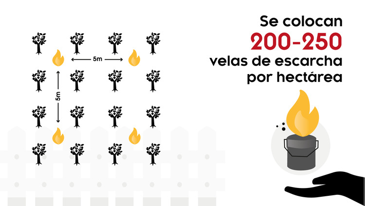 ¿Funcionan realmente las velas antiheladas?