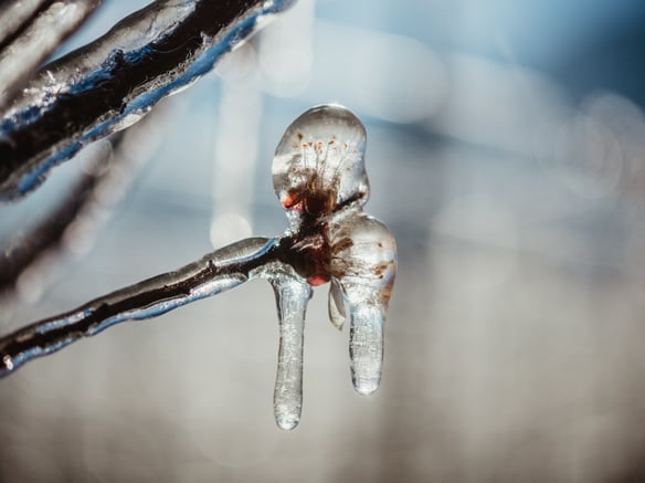 About candles and bitter cold