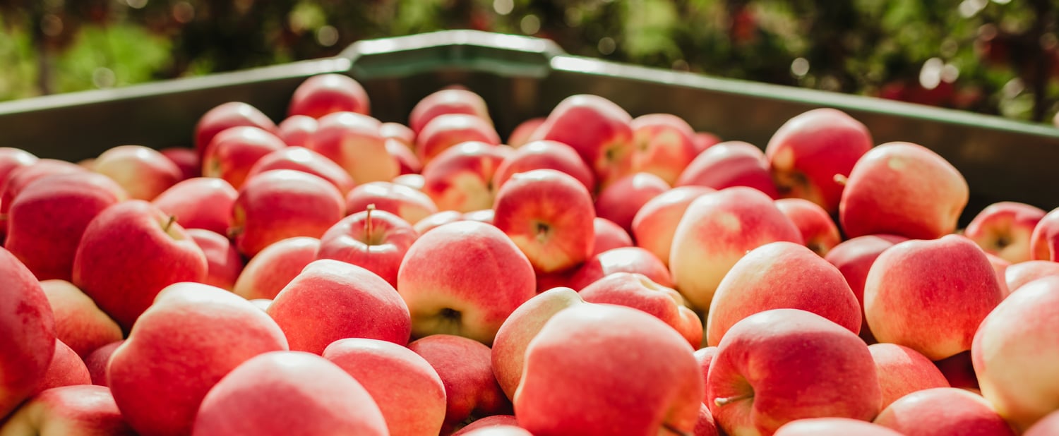 Saison für Ambrosia™ beginnt mit starker Nachfrage
