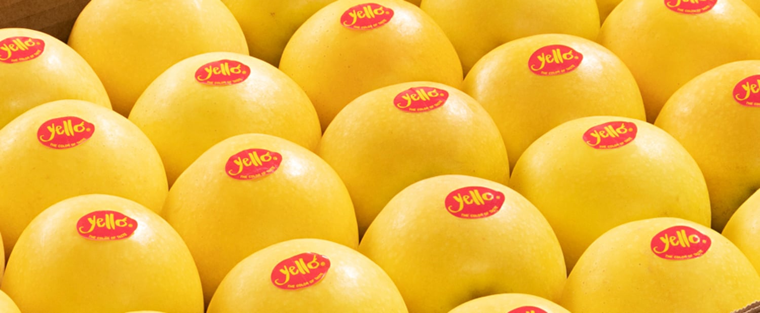 yello® apple out to conquer Australia