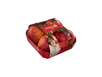 Cardboard fruittainer with top