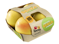 Cardboard foodtainer with top