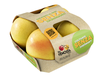 Cardboard foodtainer with top
