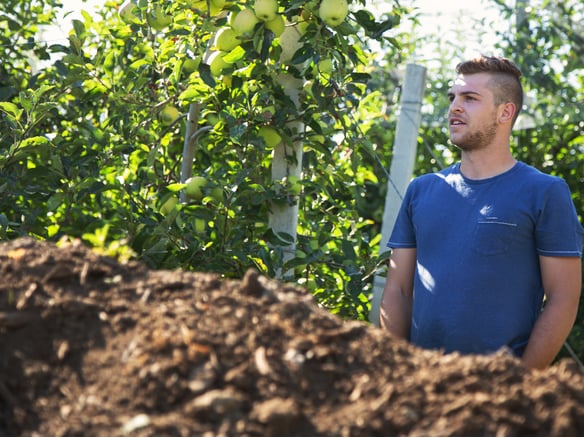 Every orchard is different