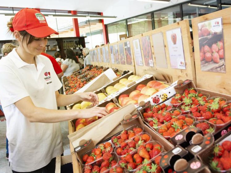 Scopri il Mondo della Fragola Altoatesina