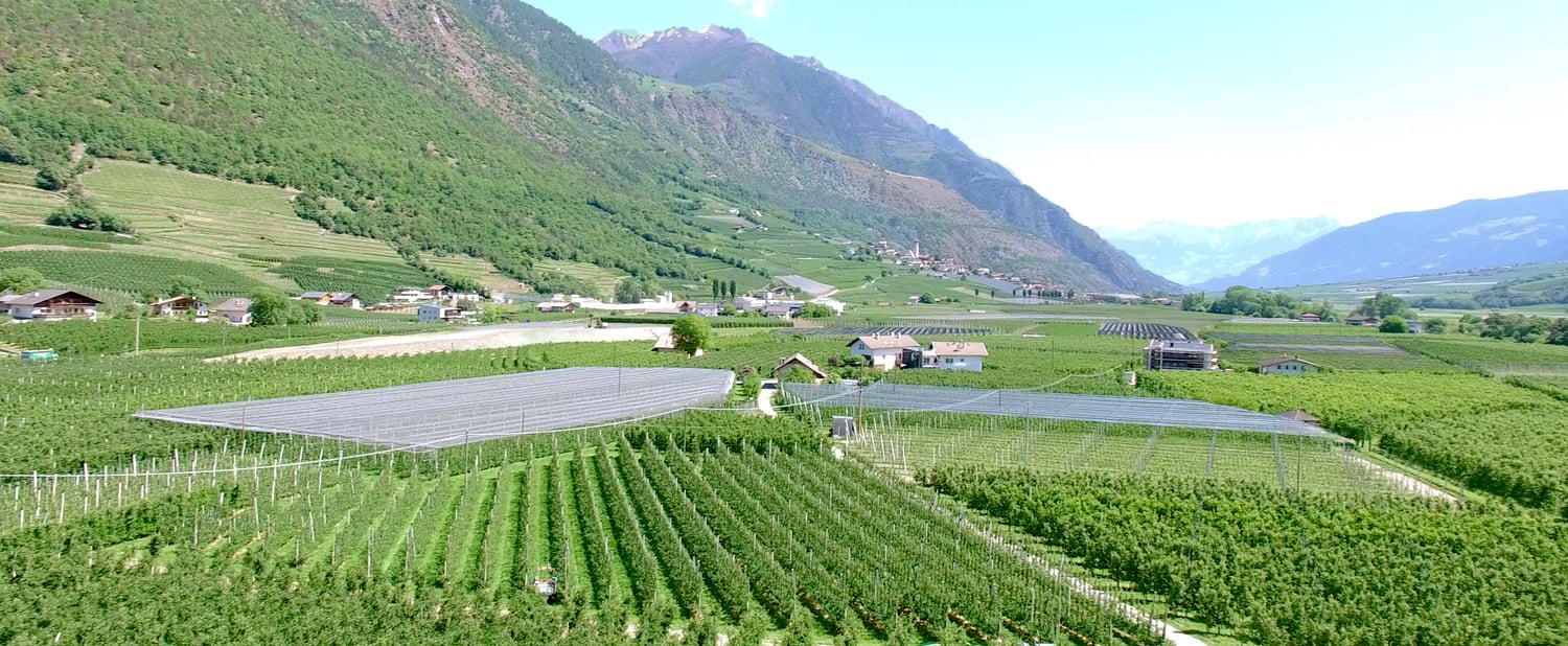 Sustainability thanks to reliable forecasts