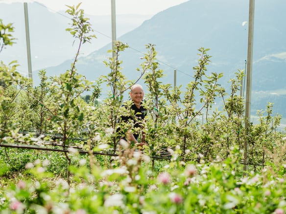 Sustainability thanks to reliable forecasts
