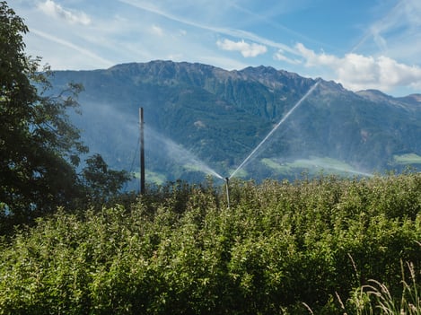 La sostenibilità grazie a previsioni attendibili